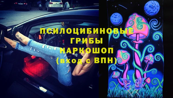 дмт Михайловск
